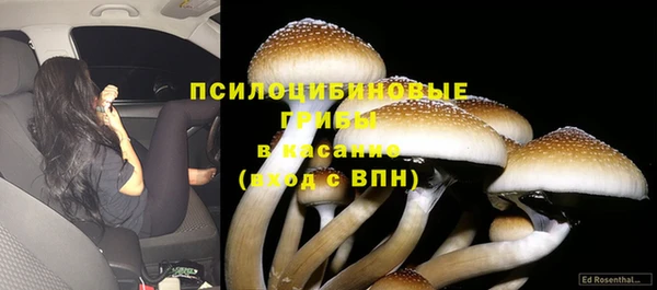 соль курить ск Баксан