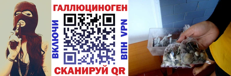 это как зайти  Жуков  Галлюциногенные грибы Cubensis 