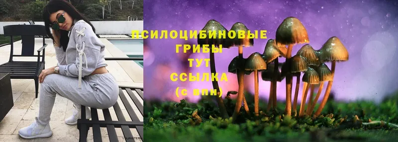 Псилоцибиновые грибы MAGIC MUSHROOMS  OMG сайт  Жуков 